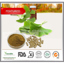 GMP Standard Herbal medicine Biloba Ginkgo, Ginkgo Biloba Extract powder,Ginkgo Biloba P.E. 24/6